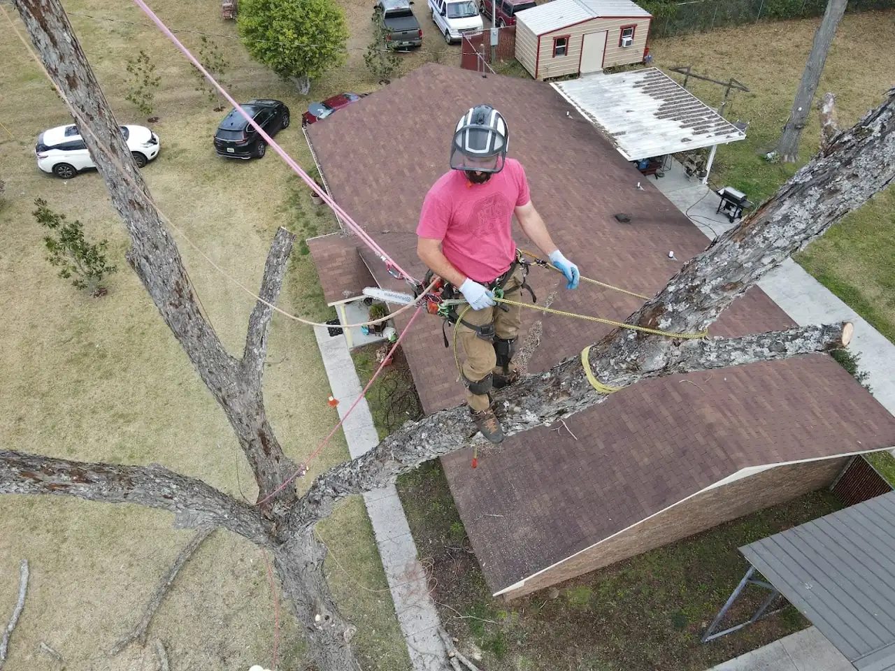 EA Tree Service climber working high in a tree above a house